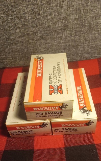 Winchester silvertip 250 savage 100gr