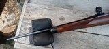 Ruger m77 rl ultralight 243 - 9 of 10