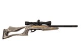 Ruger Model 10/22 .22 Long Rifle
