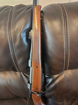 CZ 550 Safari .416 Rigby - 12 of 15