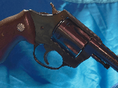 Charter Arms Bulldog .44 Special - Image 2 of 7