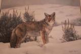 "Solitude" Coyote Print by Charles Frace` Limited Edition - 1 of 3