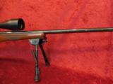 Ruger Model 77 Varmint 22-250 Top Tang Safety 24" heavy barrel with bi-pod & scope - 14 of 15