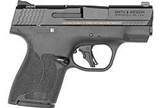 S&W M&P9 SHIELD + 9MM WSAFETY 2-10 RD BLACK - 2 of 2