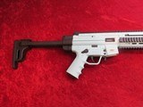 German Sport GSG-16 22 lr semi-auto rifle 16.25" bbl 22-rd Adj. Stock MINT NEW #GERGGSG1622M - 7 of 8