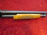Westernfield M550AR 12 gauge pump shotgun 24" smooth barrel with rifle sights - 13 of 16