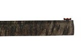 Impala Plus Field 12 gauge 28
