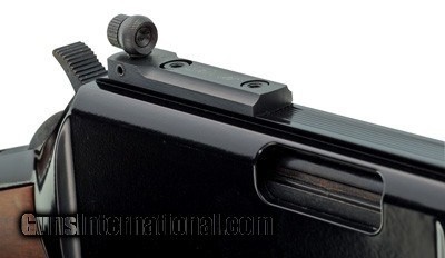 HENRY SMALL GAME CARB 22S/L/LR 17