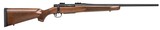 Mossberg 27835 Patriot Walnut 243 Win 5+1 22