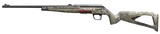 Winchester Repeating Arms 525206102 Xpert 22 LR 10+1 18