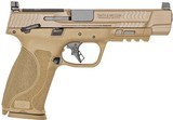Smith & Wesson 13569 M&P M2.0 Full Size 9mm Luger 17+1, 5