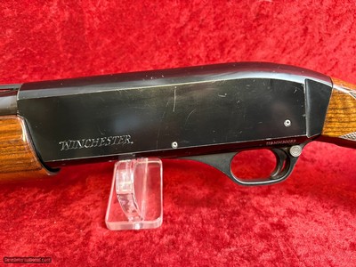 Winchester SX2 12 gauge semi-auto shotgun 3