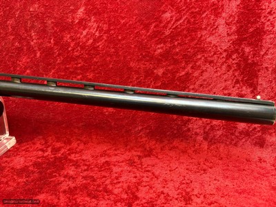 Winchester SX2 12 gauge semi-auto shotgun 3