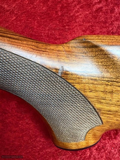 Winchester SX2 12 gauge semi-auto shotgun 3