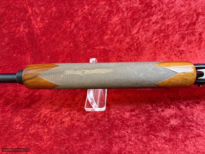 Winchester SX2 12 gauge semi-auto shotgun 3