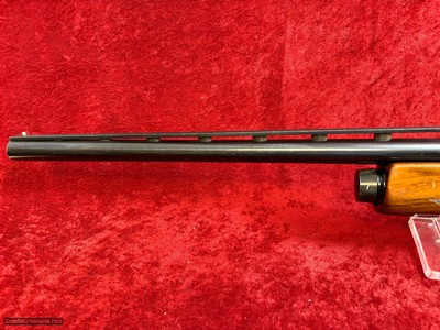Winchester SX2 12 gauge semi-auto shotgun 3
