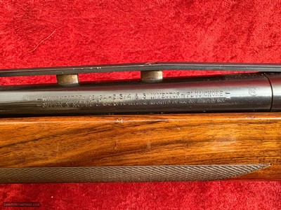 Winchester SX2 12 gauge semi-auto shotgun 3