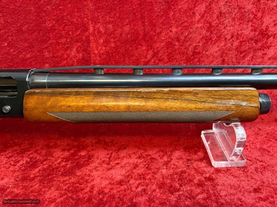 Winchester SX2 12 gauge semi-auto shotgun 3