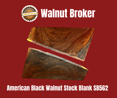 American Black Walnut Stock Blank SB562 - Image 1 of 1