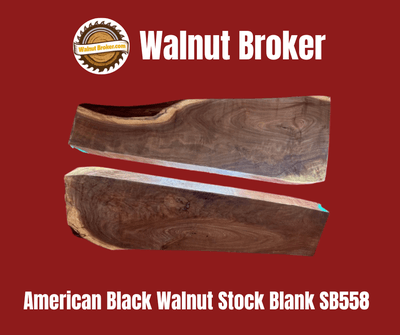 American Black Walnut Stock Blank SB558 - Image 1 of 1
