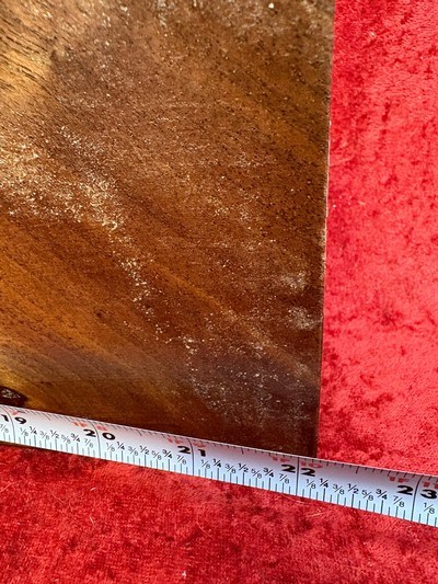 American Black Walnut Shotgun Stock Blank with XXX Fancy Beautiful Figure & Burl #SB556 - Image 6 of 8