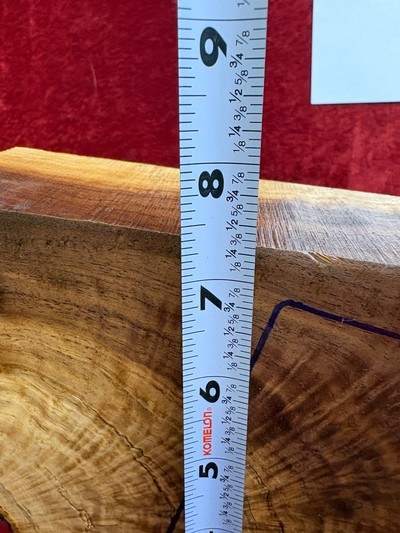 American Black Walnut Stock Blank Rifle or Shotgun w/matching Forearm #SB555 - Image 5 of 6