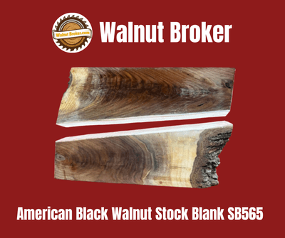 American Black Walnut Stock Blank SB565 - Image 1 of 1