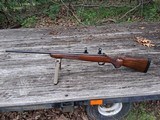 Kimber m84 7mm-08 - Image 1 of 10