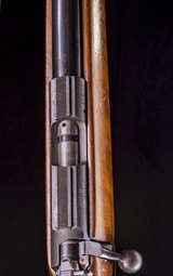 CZ BRNO 452-2E 17HMR ~ excellent bore! - 3 of 7