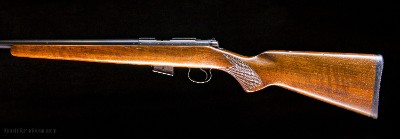 CZ BRNO 452-2E 17HMR ~ excellent bore!