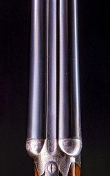 W. W. Greener hammerless boxlock with nitro proofed barrels from 1881 so Antique ! We can ship direct! - 3 of 8