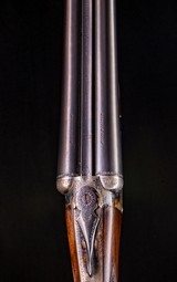 Webley & Scott 700 retailed by Jeffery of Guilford ~ 20g.! and 2 3/4" - 3 of 8