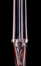 Webley & Scott 12ga with 2 3/4in chambers and some nice case color and beautiful wood! - 7 of 8