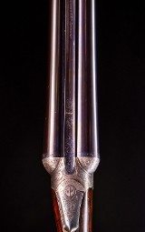 Westley Richards fancy boxlock with a rare cross eyed stock ~ High condition! - 3 of 9