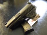Sig Sauer P224 Extreme .40 S&W - 4 of 4