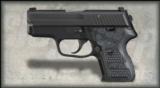 Sig Sauer P224 Extreme .40 S&W - 1 of 4