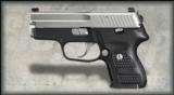 Sig Sauer P224 Nickel .40 S&W 224-40-NSS-DAK - 1 of 4