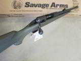 Savage Model 11 Hog Hunter 20