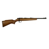 Rock Island M14Y Youth Rifle .22 LR 18.34