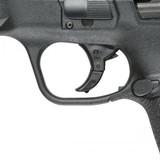 Smith & Wesson M&P9 Shield 9mm Luger 3.1