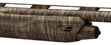 Winchester SX4 Waterfowl Hunter 12 GA 26" MO Bottomland 511212291 - 3 of 5