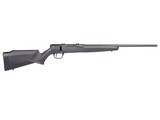 Savage Arms B17 F .17 HMR 21" 10 Rounds Black 70800 - 1 of 1