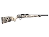 Savage Arms B22 FV-SR Overwatch 16.5