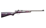 Keystone Crickett .22 LR 16.125