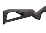 Winchester Wildcat .22 LR Semi-Auto 18