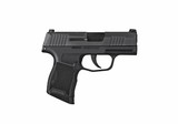 Sig Sauer P365 Nitron Micro-Compact 9mm 3.1