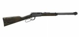 Henry Garden Gun Smoothbore .22 LR Shotshell 18.5