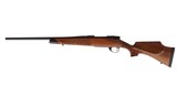 Weatherby Vanguard Camilla .243 Win 20