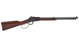 Henry Small Game Rifle .22 S/L/LR 20