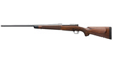 Winchester Model 70 Super Grade French Walnut .243 Win 22